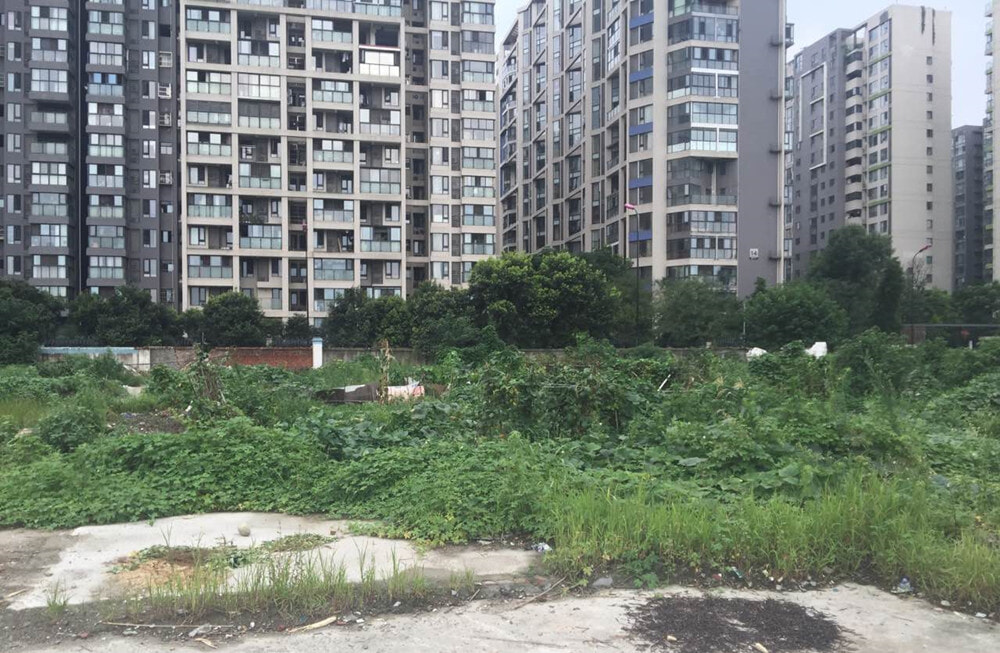 听说今年成都新增的4所小学开始招生,它们怎么