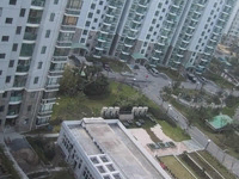 河风丽景