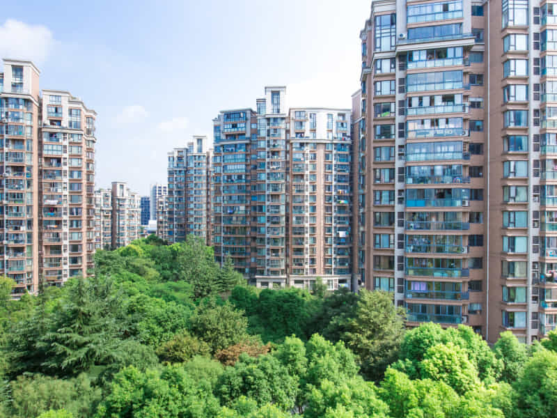 春申景城湖畔林语