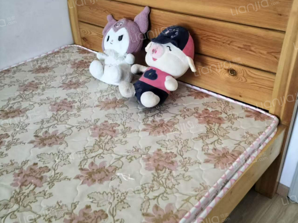 整租· 文一泊心湾 3室2厅 南