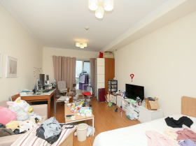 大成国际二手房