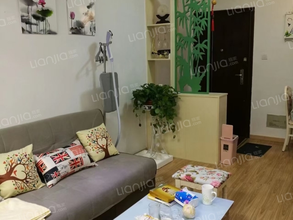 整租· 黄金广场 1室1厅 南