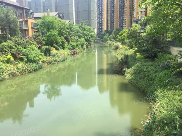 为你而选为你为家华侨城东岸二期联排端头位置安静清水房