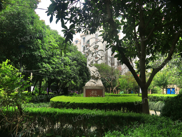 为你而选为你为家 长青学区三塘桂园两房朝南全明户型有钥匙!