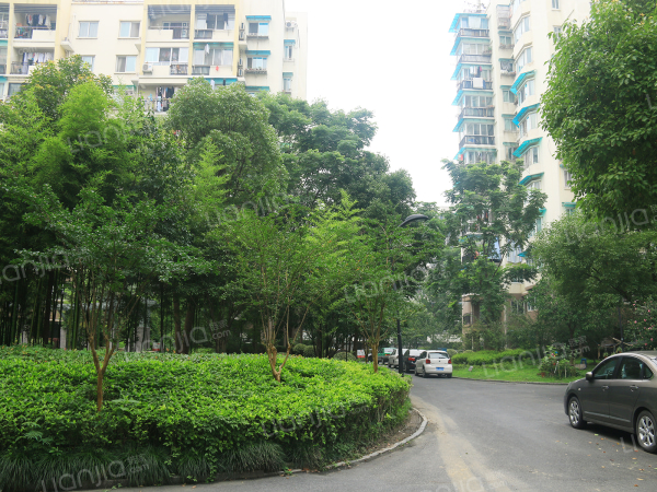 三塘菊园 普通住宅 小区图片仅供参考