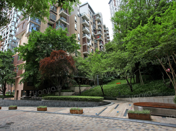 龙湖春森彼岸 普通住宅 小区图9