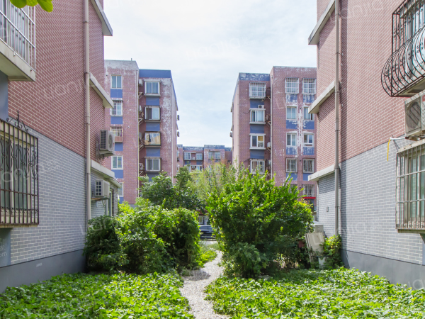 分开了,知道不可能再在一起了,为什么还纠结啊,为什