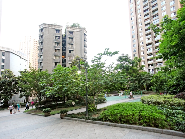 光华观府国际 普通住宅 小区图5