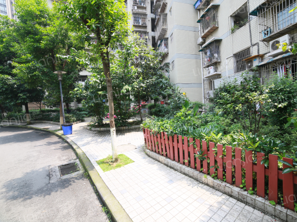 员工宿舍,电梯房,小区静雅,渝中区大坪金银湾金银湾-乐居重庆租房