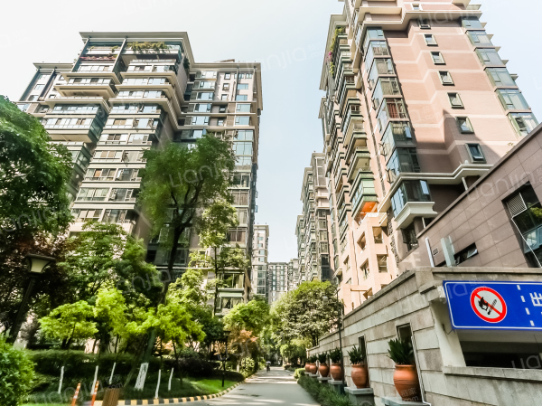 神仙树大院三期 普通住宅 小区图8