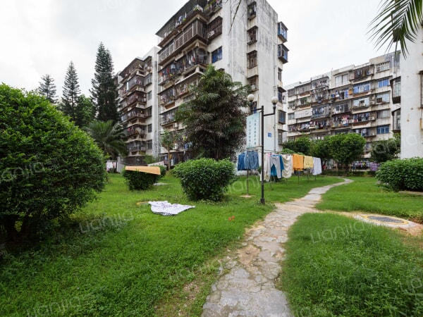 红荔村 普通住宅 小区图片仅供参考