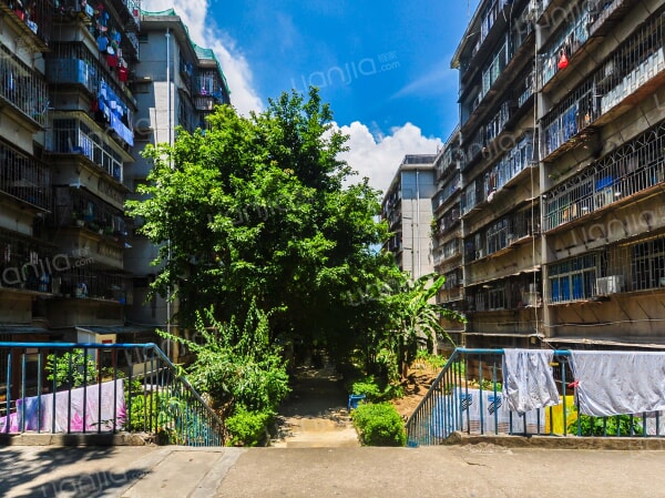 竹园小区 普通住宅 小区图片仅供参考