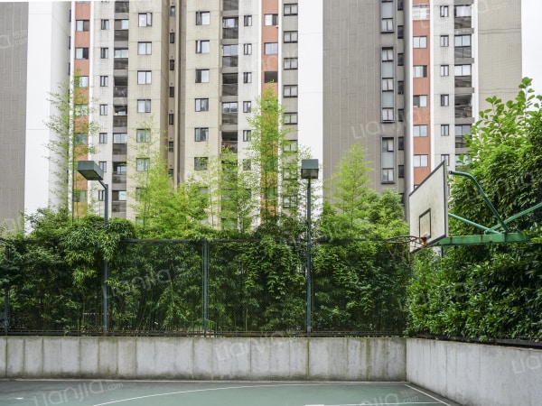 凯德视界 普通住宅 小区图片仅供参考