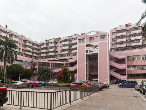 福中福花园二期 普通住宅 小区图片仅供参考