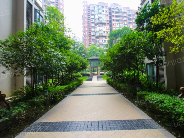 为你而选为你为家犀浦书香**2号线**套三