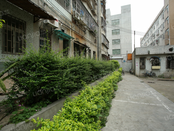 【多图】海滨花园(宝安)二手房 2室2厅 76平 288万元/套 为你而选为你