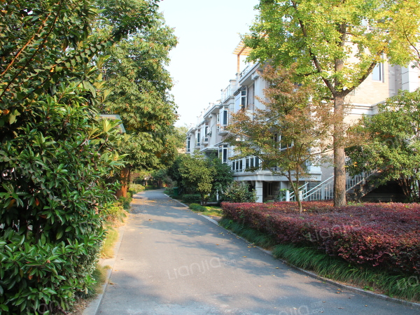 【链上未来的家】链家的房源怡景花城精装修排屋带花园家具全送