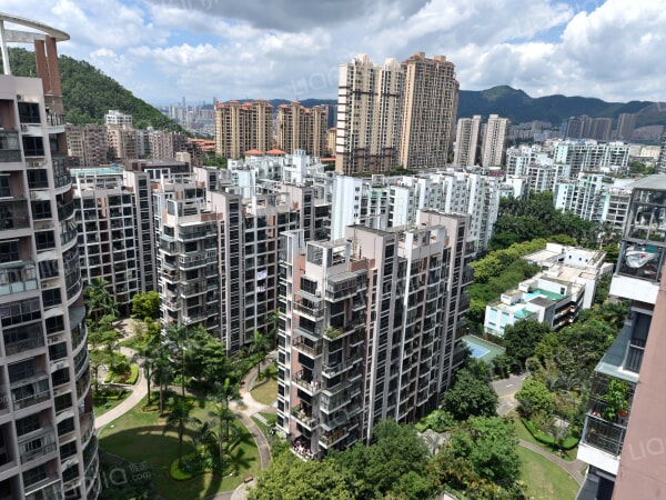 为你而选为你为家豪装一房一厅慢城稀缺户型满二税费少 深圳二手房