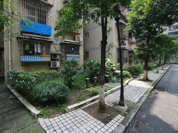 员工宿舍,电梯房,小区静雅,渝中区大坪金银湾金银湾-乐居重庆租房