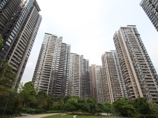 【多图】thetown乐城二手房 2室1厅 52平 214万元