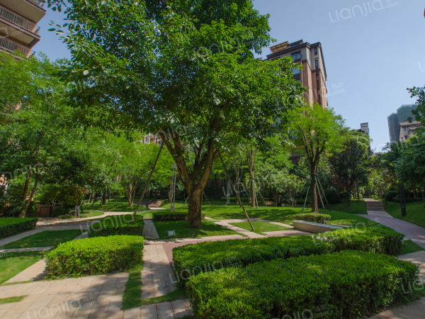 大学城:龙湖洋房3房带露台位置安静南北通透