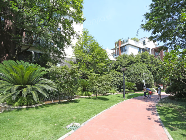 金科十年城洋房南北通透带露台三房两卫