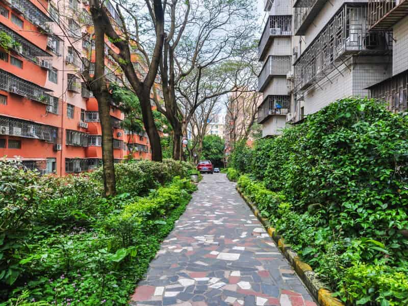 荔园新村(杜鹃山西街)房源出租信息