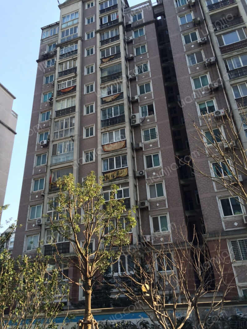 浦江茗园