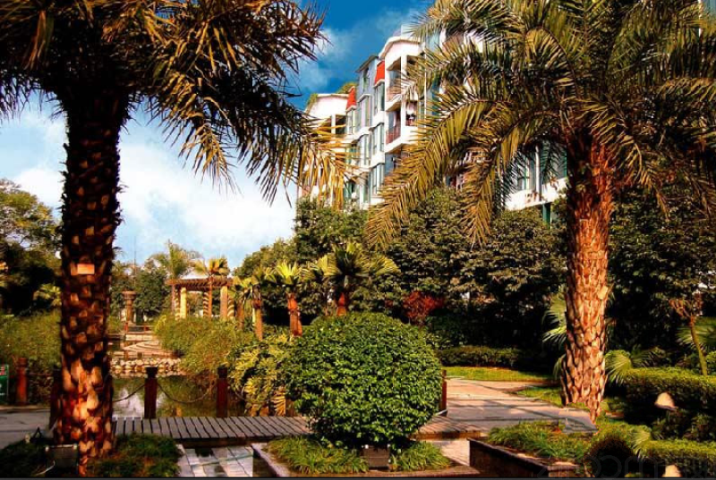 新北美洲花园棕榈湾朝南次卧合租租房价格信息_成都高新租房价格信息