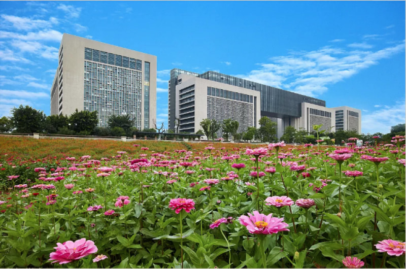 江南cbd崛起,中庚东金67平刚需两房户型登市!