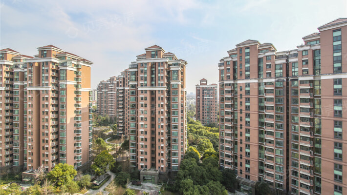 香岛四期大两房,业主出国,诚意出售_上海绿洲香岛花园二手房2室2厅