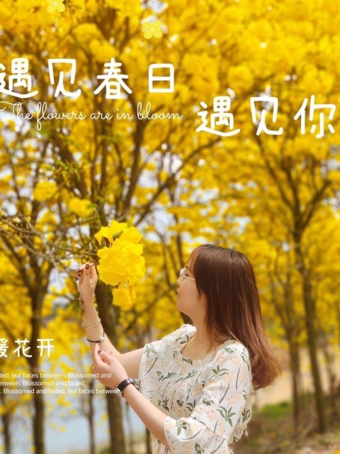 余金群